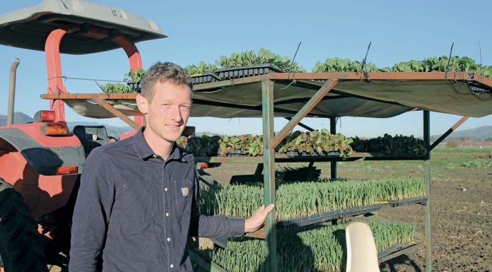 Spade & Plow brings new life to South Valley ranch