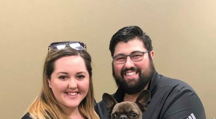 Dog, owners reunited after theft