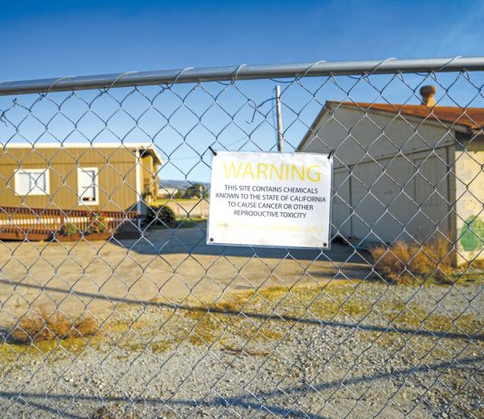 Borello School construction to start in August