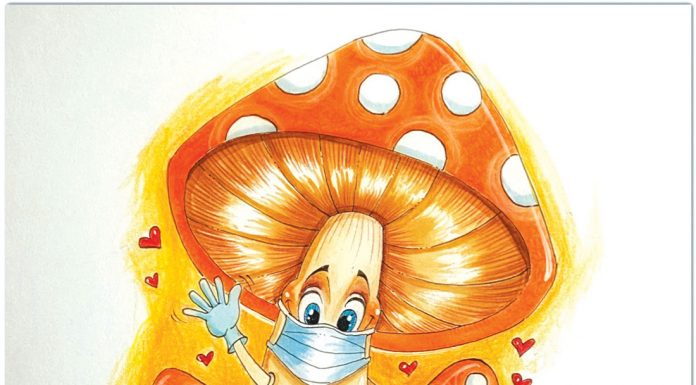 ‘Stay Healthy’ in Morgan Hill, beyond