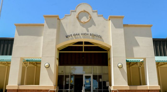 Sports roundup: Live Oak softball smashes Evergreen Valley and King City