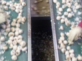 Christopher Ranch employee tests positive for Covid-19