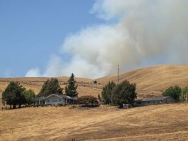 Air quality rated ‘unhealthy’ for high-risk groups