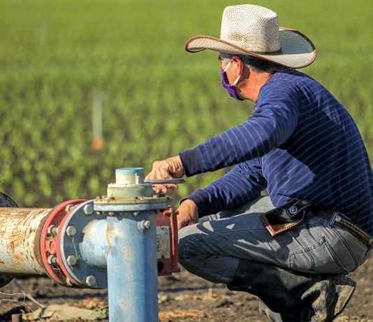 Proposed bond measure seeks to improve state’s food system