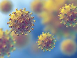 South African coronavirus strain detected in two Bay Area counties