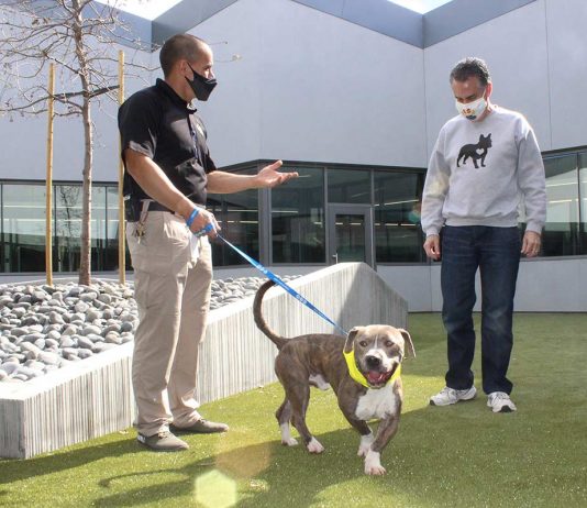 San Martin animal shelter moves from converted house into expansive campus