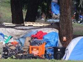 County secures hefty grant to address local homelessness