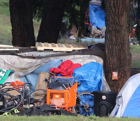 County secures hefty grant to address local homelessness