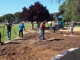 Rotary Club adopts Galvan Park for cleanup, maintenance