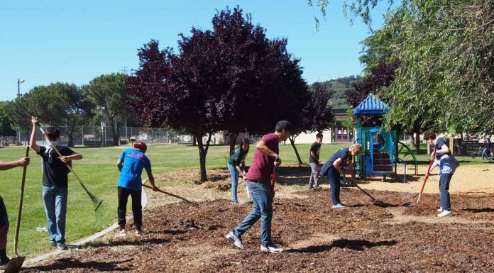 Rotary Club adopts Galvan Park for cleanup, maintenance