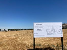 Trammell Crow project survives appeal