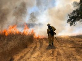 Photos: Grass fire in San Martin burns six acres
