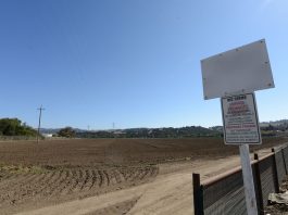 Kawahara Nurseries to expand to San Benito County