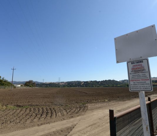 Kawahara Nurseries to expand to San Benito County