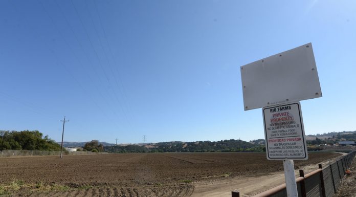 Kawahara Nurseries to expand to San Benito County