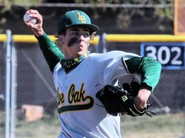 Stump dominates on the bump