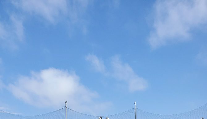 Miguel Gutierrez pulls triple soccer duty