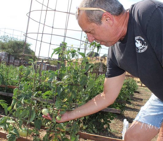 Terra Amico Farms in San Martin prepares for summer events