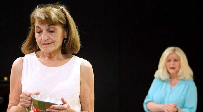 Limelight theater returns to action with ‘Ripcord’