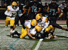 Live Oak football team’s upcoming Coaches Against Cancer game a special one