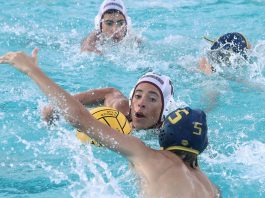 Sobrato boys water polo team looks to springboard spring season into top 3 league finish