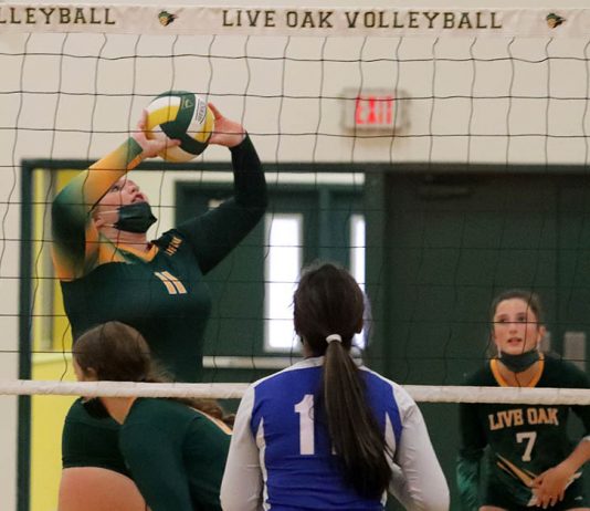 Live Oak High girls volleyball team rebuilding on the fly