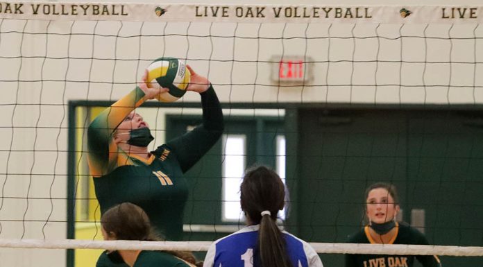 Live Oak High girls volleyball team rebuilding on the fly