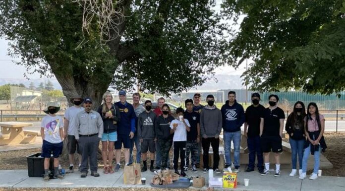 Local Scene: Dia De Los Muertos, Veterans Run