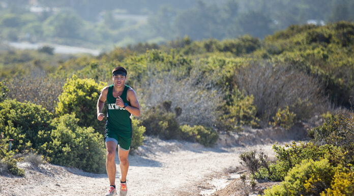 Ellis Richardson has come a long way