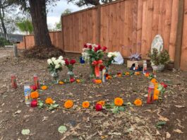 DA declines to charge Oct. 30 Gilroy shooting suspect