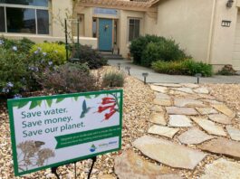 District bans watering commercial, industrial, institutional lawns