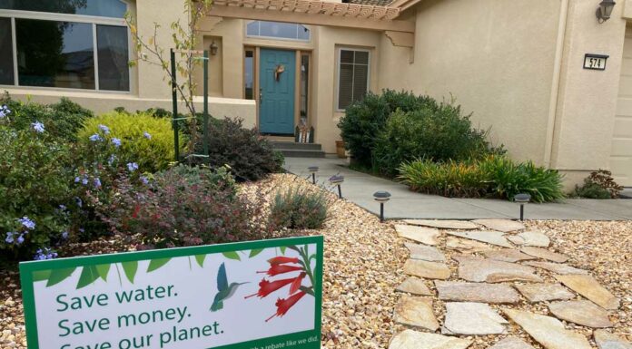 District bans watering commercial, industrial, institutional lawns