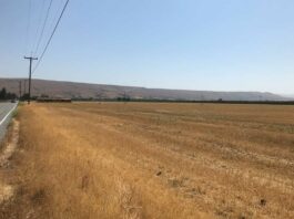 Board of supervisors approves Coyote Valley preservation plan