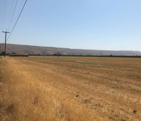 Board of supervisors approves Coyote Valley preservation plan