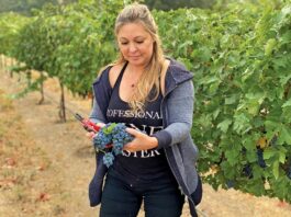 Cottage Creek: Inspired by Syrah denise russell cottage creek winery cabernet sauvignon grapes