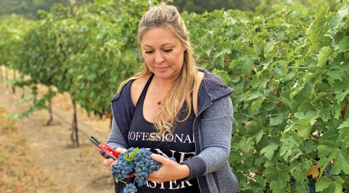 Cottage Creek: Inspired by Syrah denise russell cottage creek winery cabernet sauvignon grapes