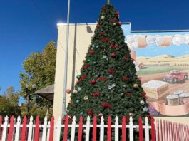 Holiday events kick off this weekend in South County christmas tree holiday downtown gilroy fifth street lighting
