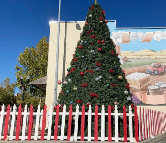 Holiday events kick off this weekend in South County christmas tree holiday downtown gilroy fifth street lighting