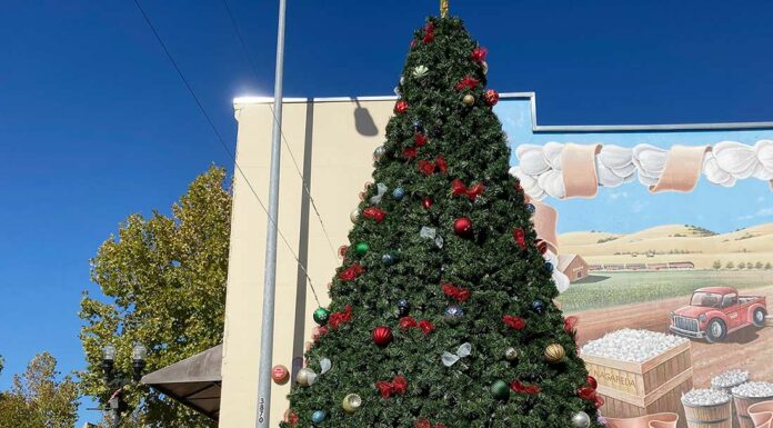 Holiday events kick off this weekend in South County christmas tree holiday downtown gilroy fifth street lighting