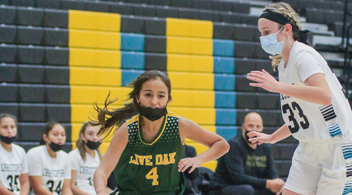 Young Live Oak girls basketball team looks to grow up fast