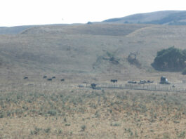 Human rights commission opposes Sargent Mine