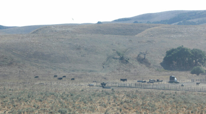 Human rights commission opposes Sargent Mine