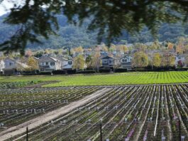 Study: South County faring better than state average hecker pass highway third street homes syngenta flowers