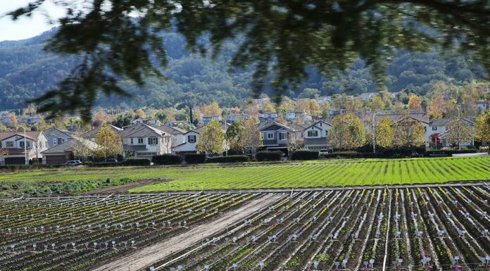 Study: South County faring better than state average hecker pass highway third street homes syngenta flowers