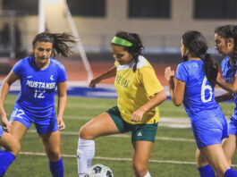 Acorns move down, but things are looking up