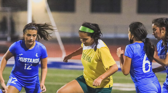 Acorns move down, but things are looking up