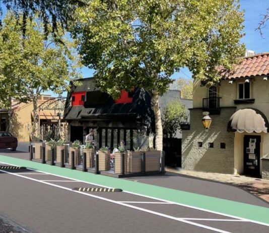 Voters may decide on future Monterey Road lane reduction