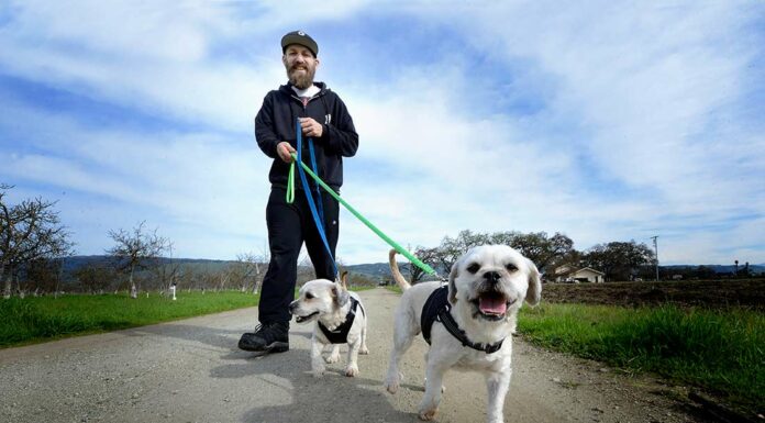 Battle-rapper plans to bring dog rescue program to South County adopt my block daniel martinez dog rescue