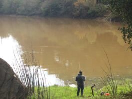 Uvas Reservoir about to overflow as wet season begins uvas reservoir morgan hill fishing