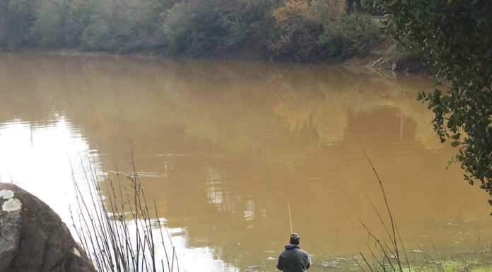 Uvas Reservoir about to overflow as wet season begins uvas reservoir morgan hill fishing